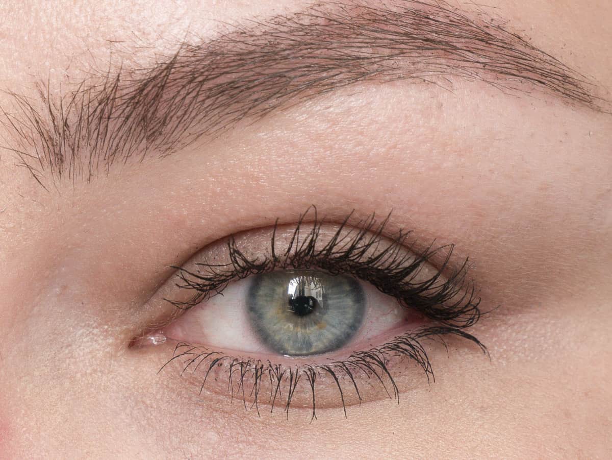 Die beste Mascara 338 Mascara Test: Loreal Paris Lash Paradise Mascara 1 Schicht