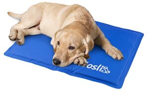 Die beste Kühlmatte für Hunde (und Katzen) 20 Test Hunde-Kühlmatte: Nosli Kühlmatte für Hunde und Katzen