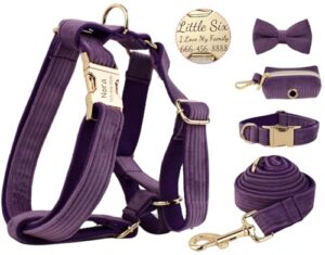 Test personalisierten Geschenke: Cuuoot Personalisiertes Hundegeschirr