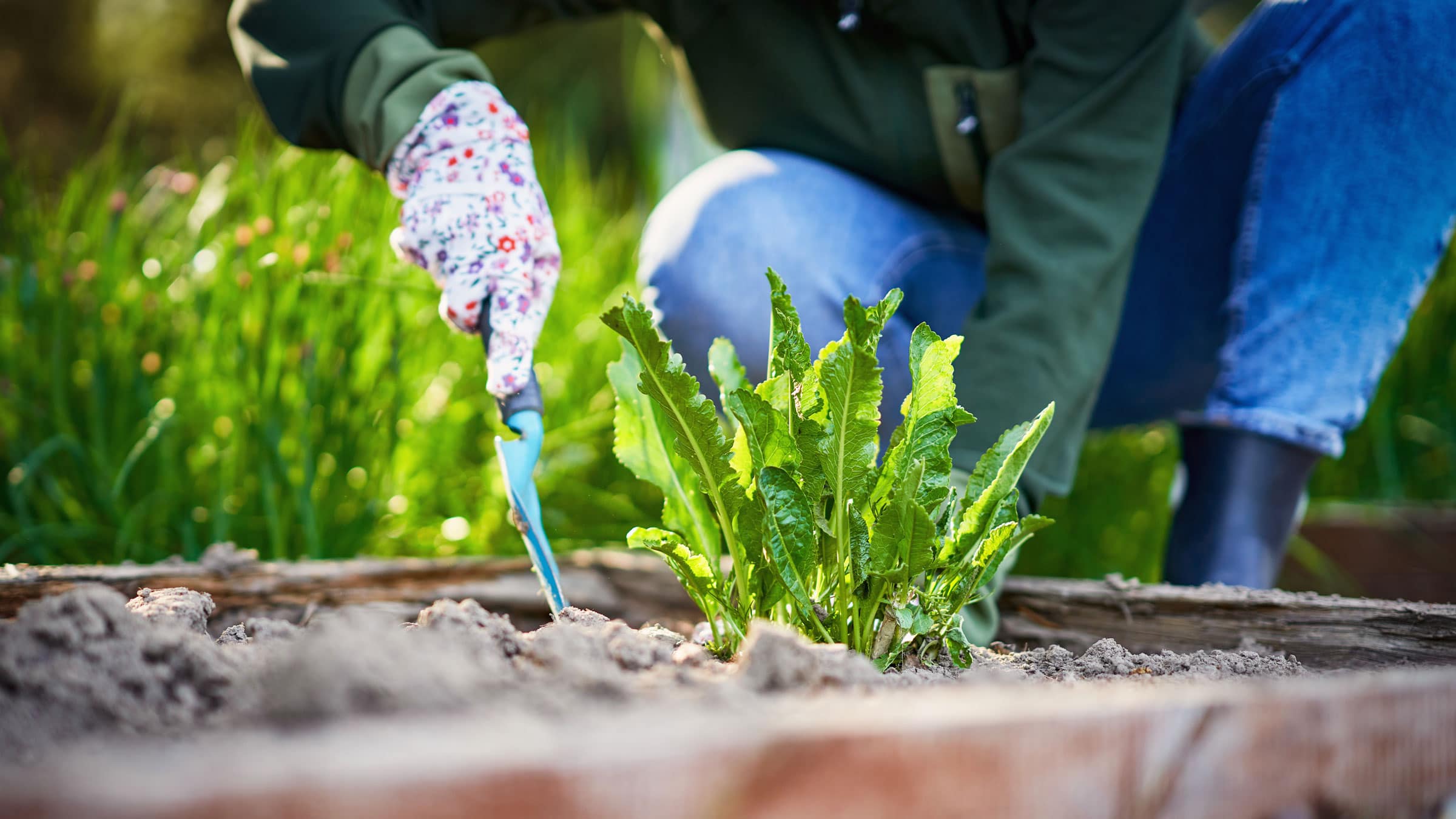 Die richtige Gartenbewässerung im Sommer 29 Praktisches Gartenwerkzeug für die Sommerzeit Test: Praktisches Gartenwerkzeug Für Die Sommerzeit