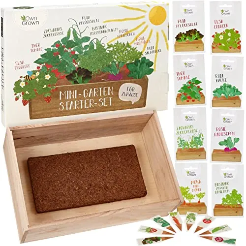 Test Geschenke f&uuml;r Erzieher: Saatgut  Anzuchtset mit Holzkiste