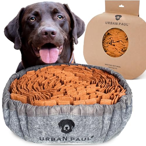 Die besten Geschenke für Hundebesitzer 7 Test Geschenke für Hundebesitzer: Urban Paul Schnüffelteppich
