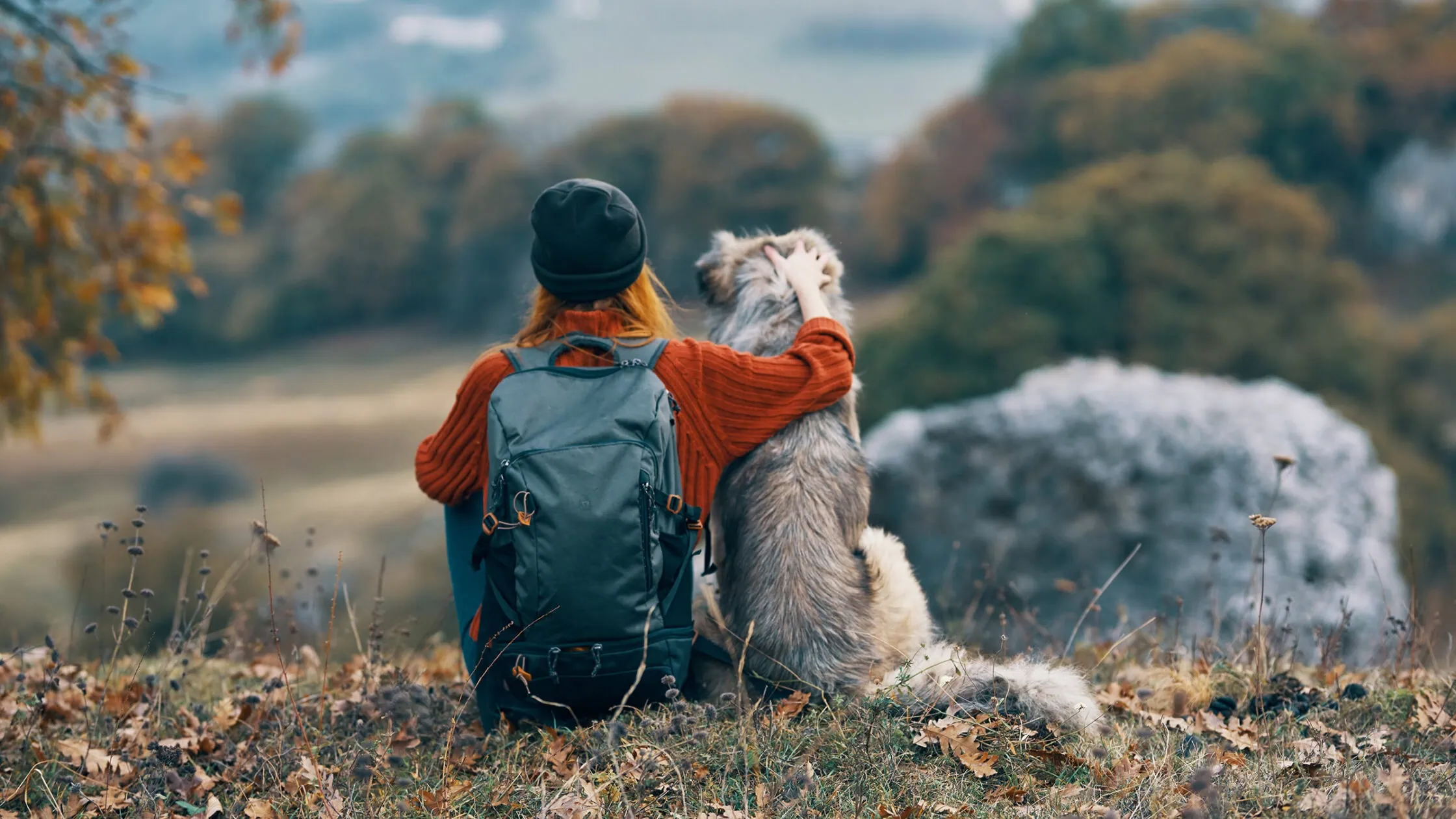 Geschenke für Hundebesitzer Test: Geschenke Hundebesitzer Aufmacher
