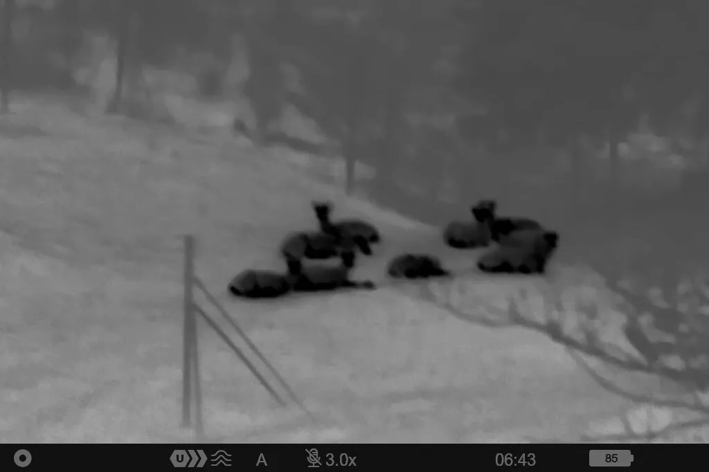 W&auml;rmebildkamera f&uuml;r die Jagd Test: Waermebildkameras Jagd Foto Pulsar Lrf Xq35