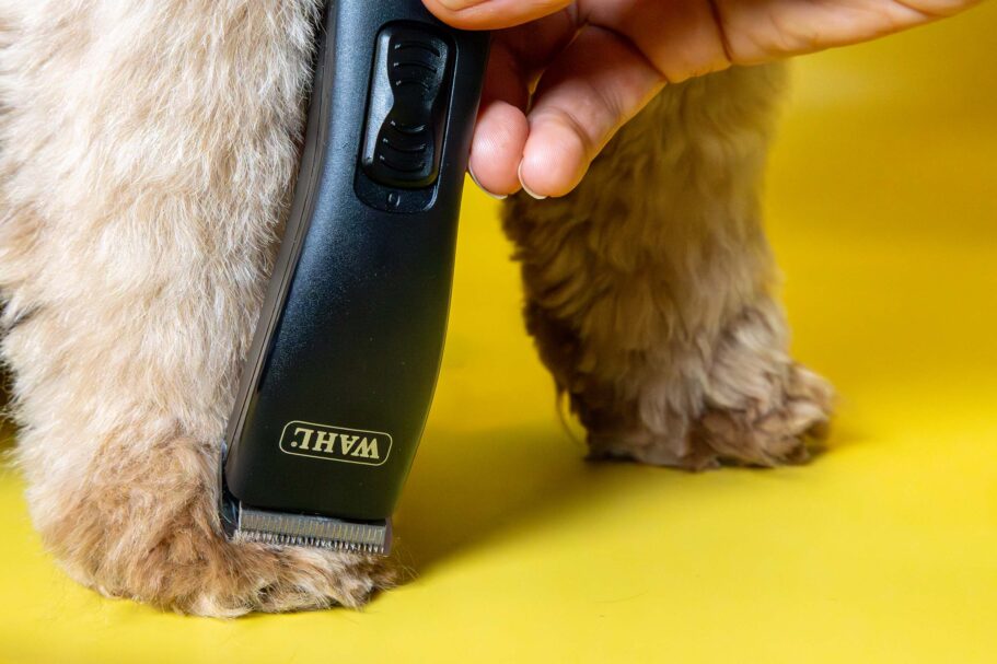 Die beste Hundeschermaschine 50 Hundeschermaschine Test: Hunderschermaschine 2025 Beine
