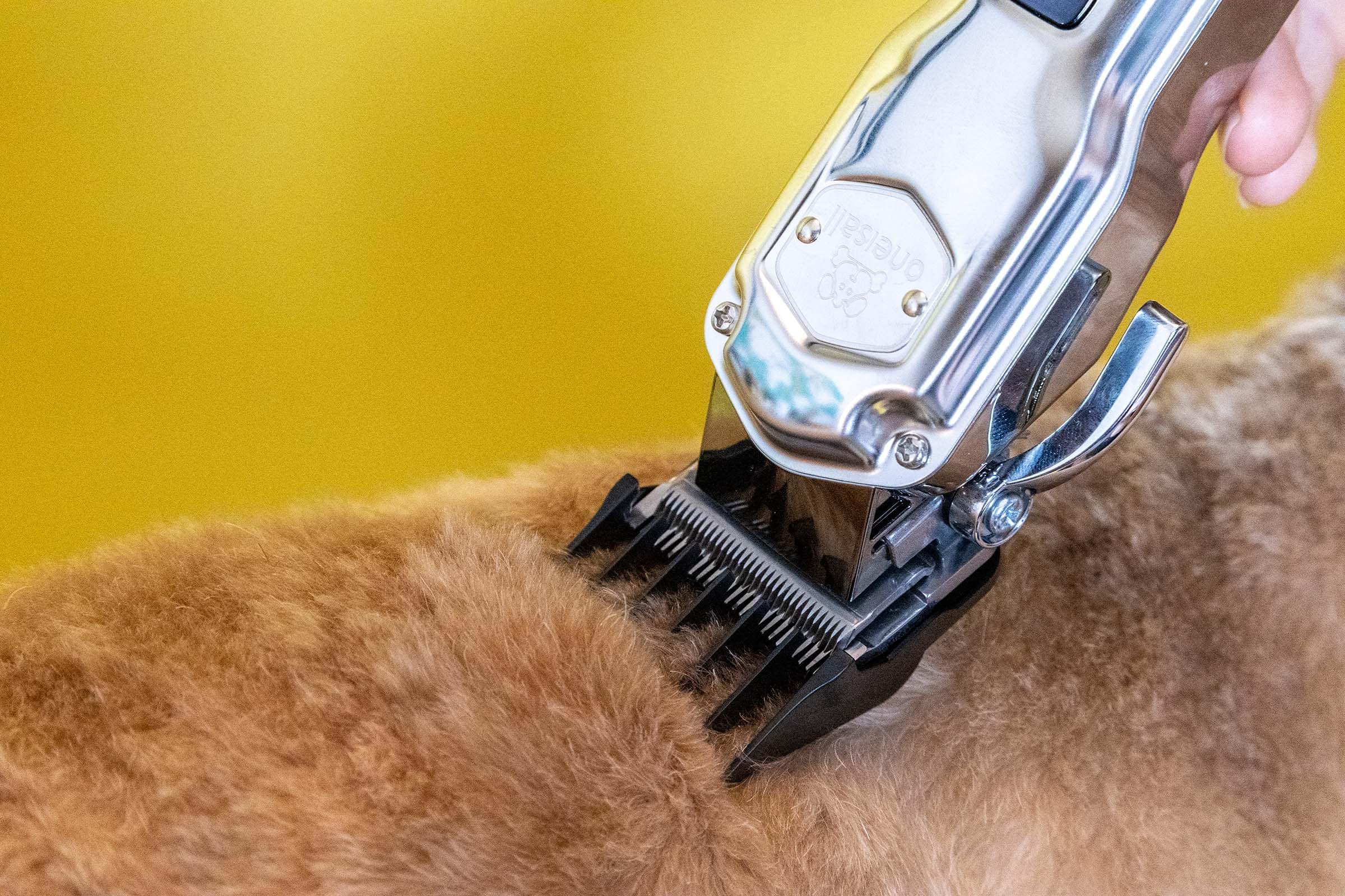 Die beste Hundeschermaschine 57 Hundeschermaschine Test: Hunderschermaschine 2025 Oneisall 676 Aktion