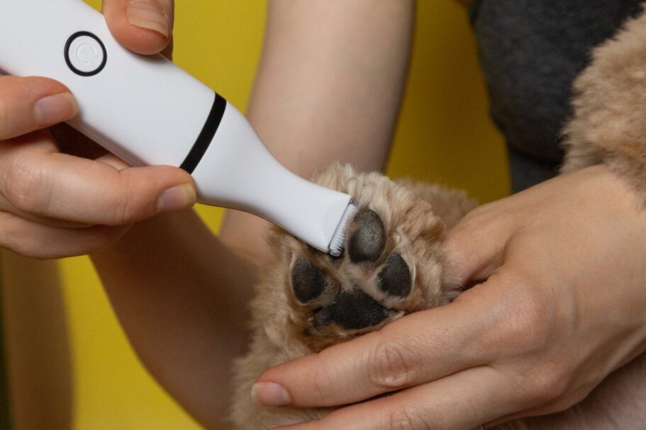 Die beste Hundeschermaschine 48 Hundeschermaschine Test: Hunderschermaschine 2025 Pfoten