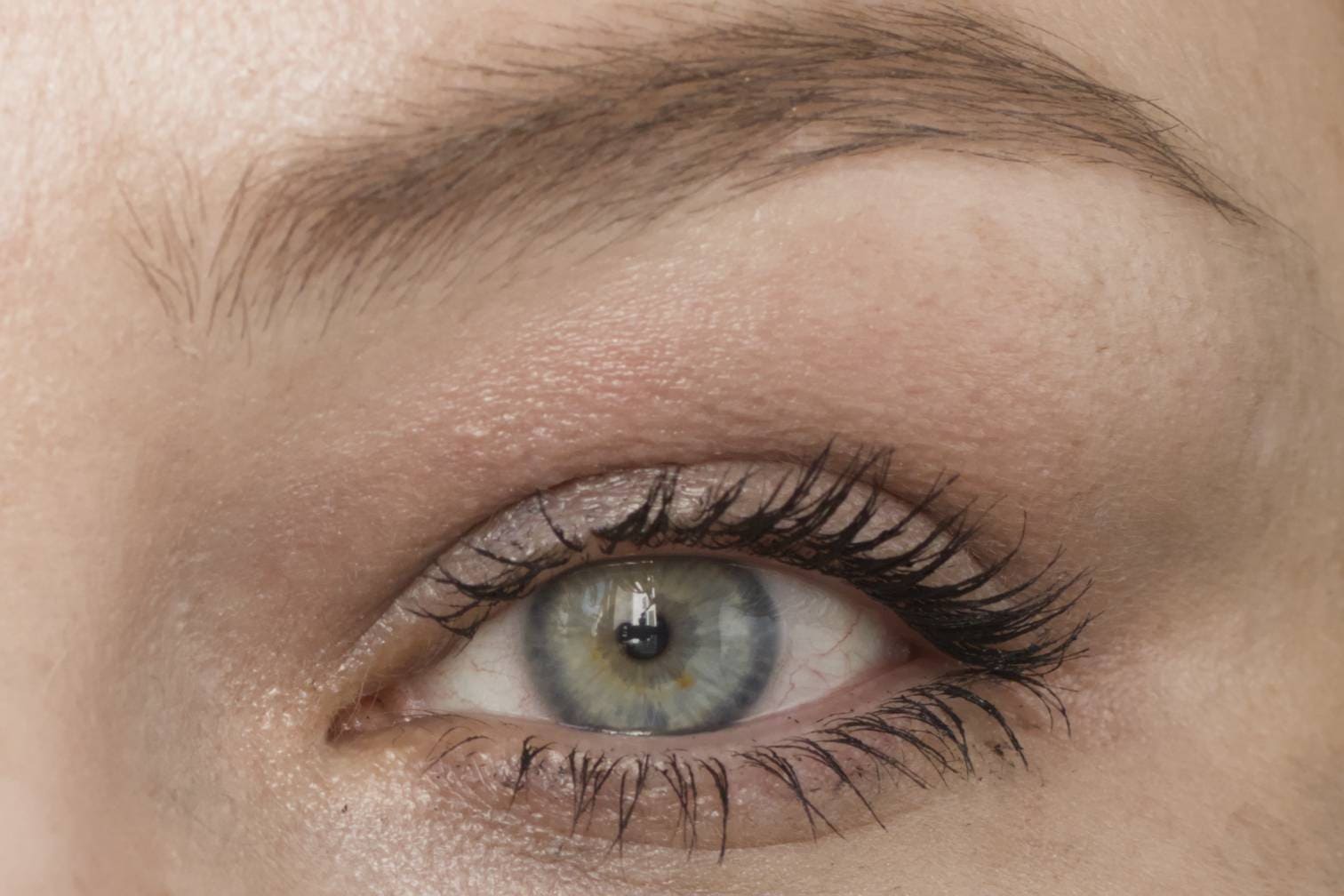 Die beste Mascara 565 Mascara Test: Loreal Paris Volume Million Lashes Panorama Mascara 1 Schicht