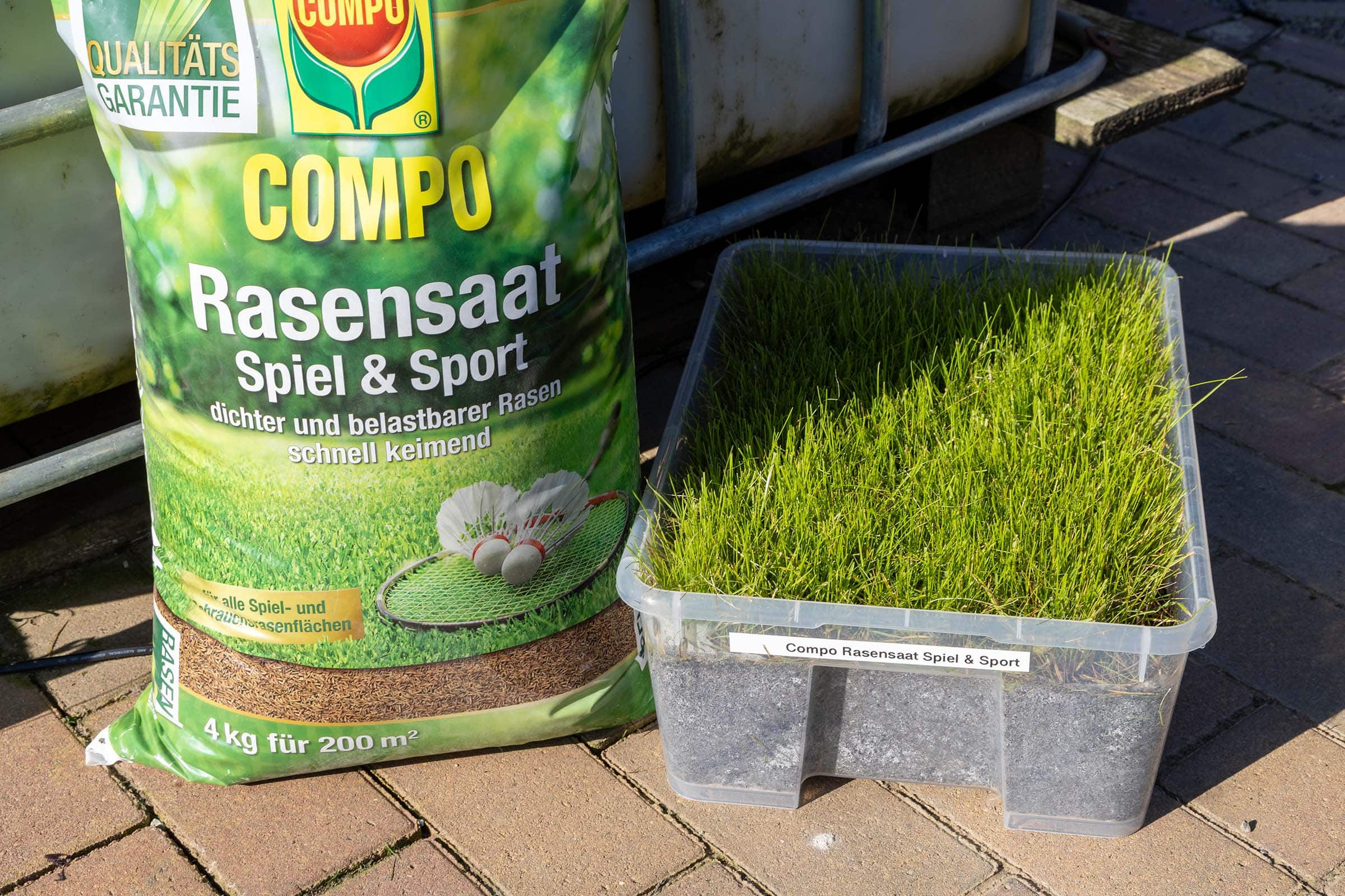 Die besten Rasensamen 112 Rasensamen Test: Rasensamen Compo 1