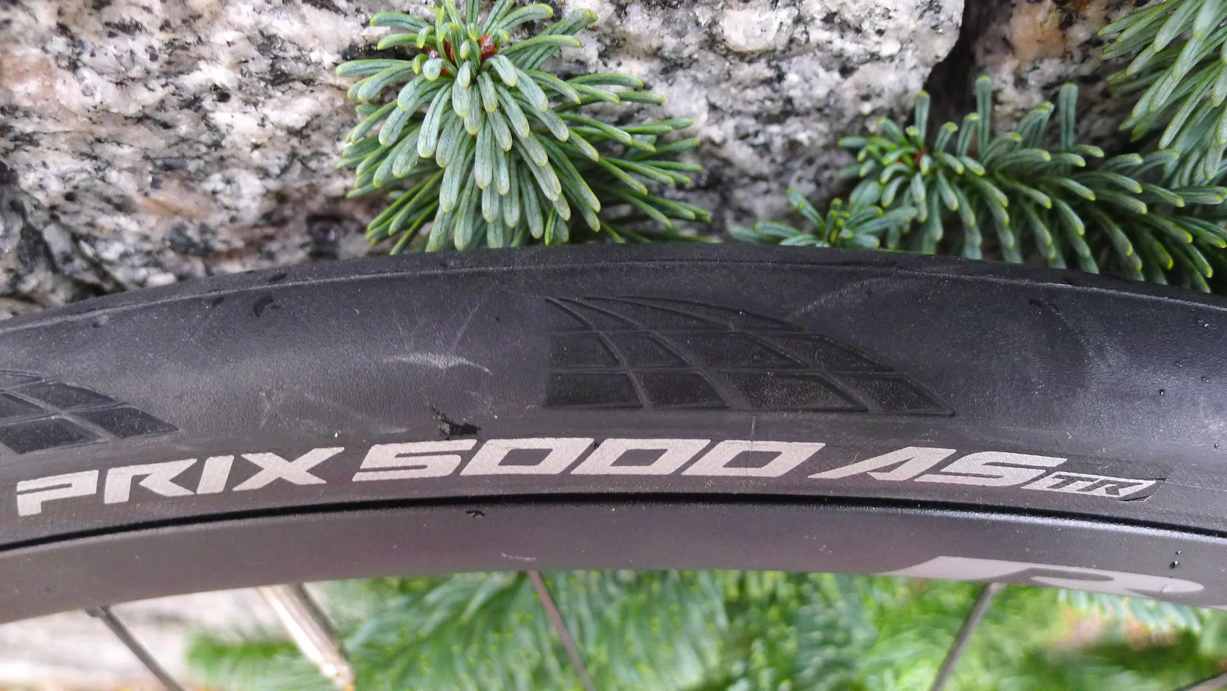 Der beste Rennrad-Reifen 97 Rennrad-Ganzjahresreifen Test: Conti5