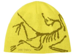 Stilvoll durch die Kälte: Die schönsten Wintermützen für Herren 4 Test: Wintermuetze Herren Arcteryx