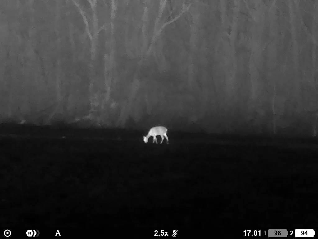 Die beste Wärmebildkamera für die Jagd 43 Wärmebildkamera für die Jagd Test: Waermebildkameras Jagd Pulsar Oryx Xg35 5