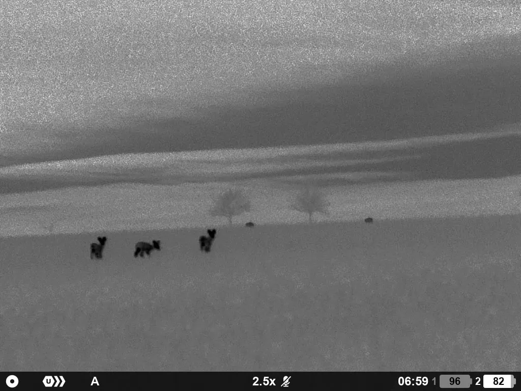 Die beste Wärmebildkamera für die Jagd 44 Wärmebildkamera für die Jagd Test: Waermebildkameras Jagd Pulsar Oryx Xg35 6