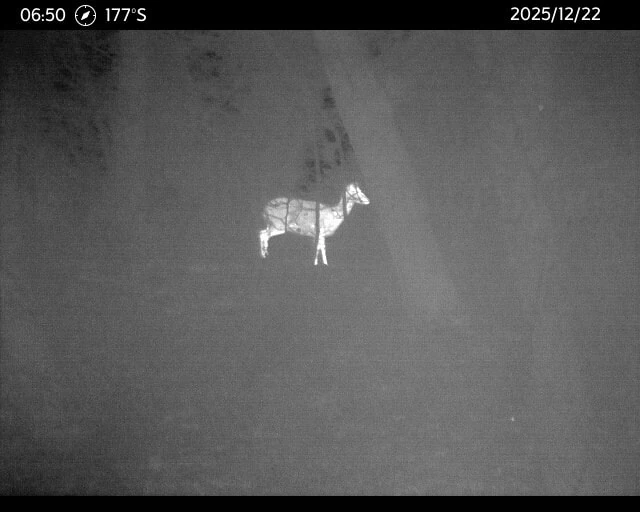 Die beste Wärmebildkamera für die Jagd 63 Wärmebildkamera für die Jagd Test: Waermebildkameras Jagd Swarovski Tx Encounter 5