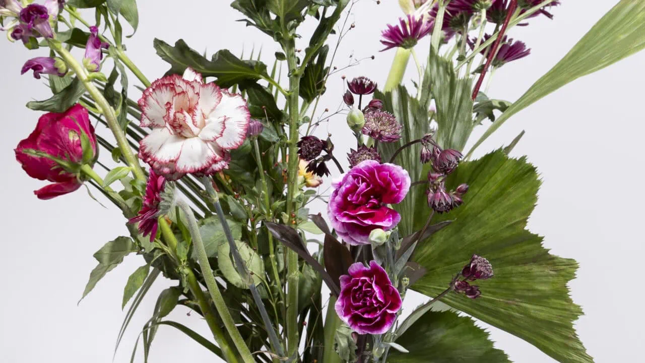 Die besten Geschenke zum Jahrestag 69 Blumenversand Test: Blumenversand 2026 Aufmacher