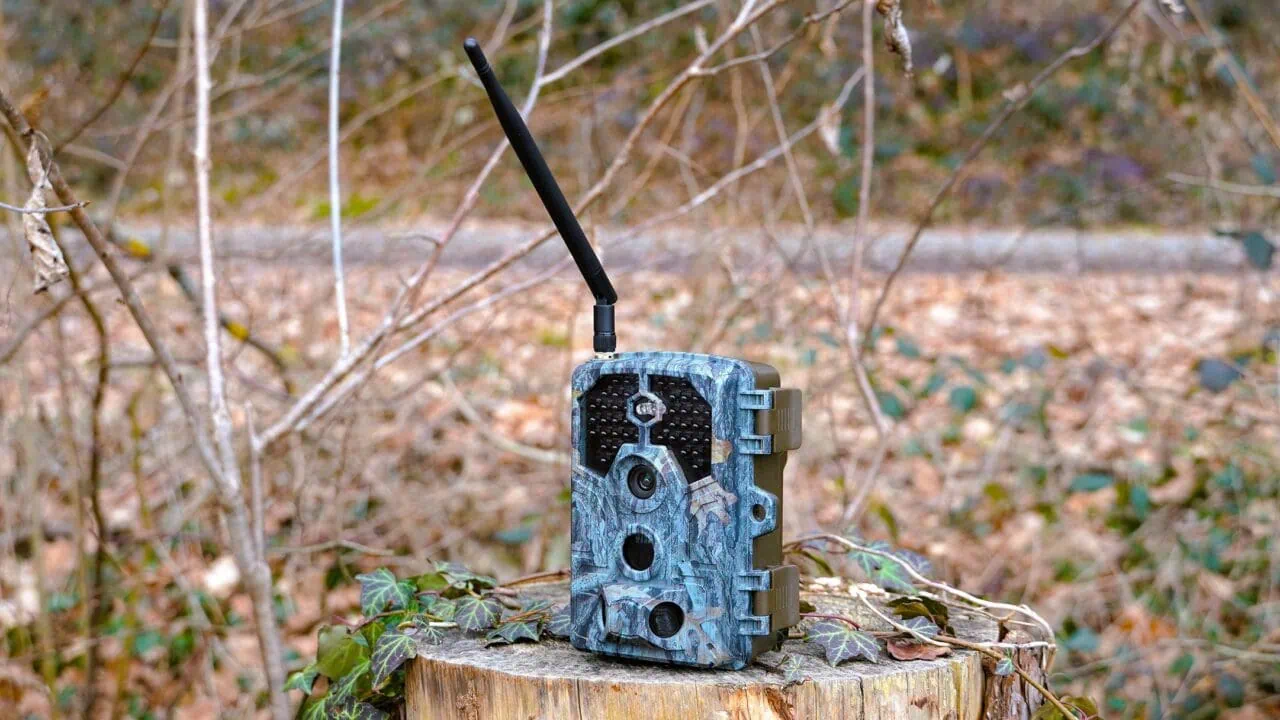 Die beste Wildkamera 33 Wildkamera Test: Wildkameras Februar2026 Aufmacher
