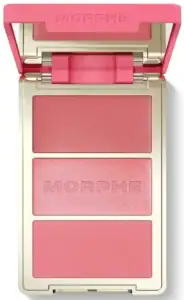 Der beste Blush 17 Blush Test: Morphe Cheekthrills Facetriopalette Blinddate