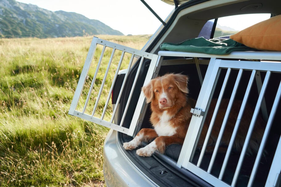 Die beste Hundebox 61 Hundebox Test: Hundebox Allgemeinerteil