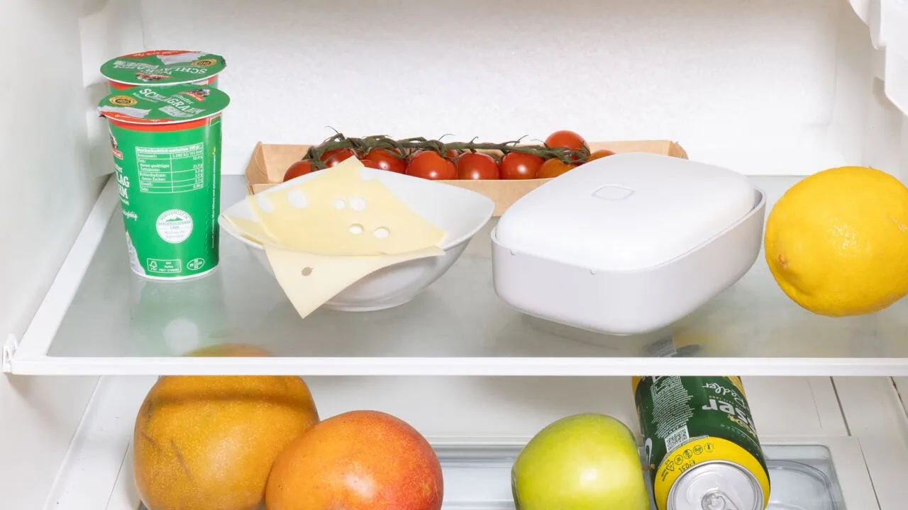 Weniger Geruch, mehr Frische: Vitesy Shelfy im Test Test: Aufmacher Shelfy