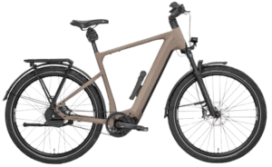 Das beste E-Bike für Touren 7 Rose Mayor Plus 3