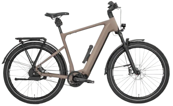 Das beste E-Bike für Touren 3 Rose Mayor Plus 3